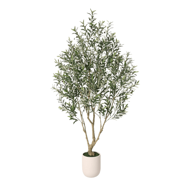 Artificial Olive Tree Indoor, 8FT Tall Faux Olive Tree with 11.5” White Cylinder Planter