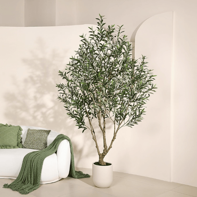 Artificial Olive Tree Indoor, 8FT Tall Faux Olive Tree with 11.5” White Cylinder Planter