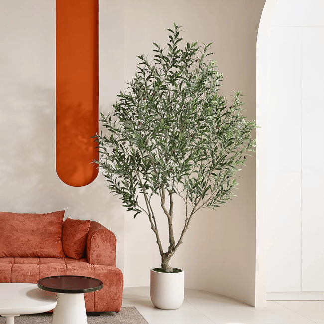 Artificial Olive Tree Indoor, 8FT Tall Faux Olive Tree with 11.5” White Cylinder Planter