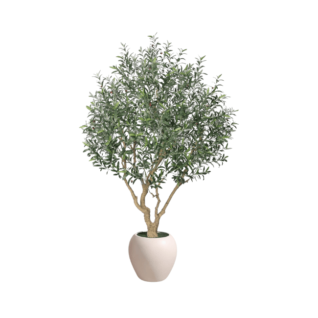 Artificial Olive Tree Indoor, 8FT Tall Faux Olive Tree with 18” White Planter, Natural Wood Trunk & Lifelike Olive Fruits