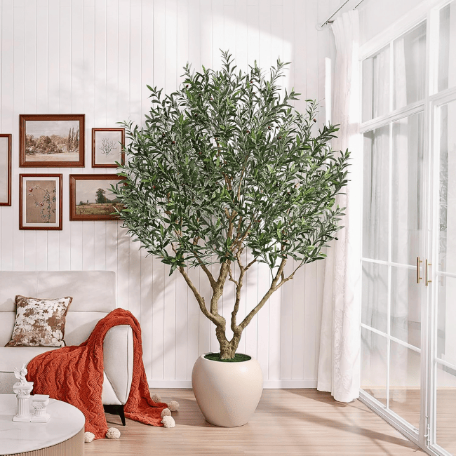Artificial Olive Tree Indoor, 8FT Tall Faux Olive Tree with 18” White Planter, Natural Wood Trunk & Lifelike Olive Fruits