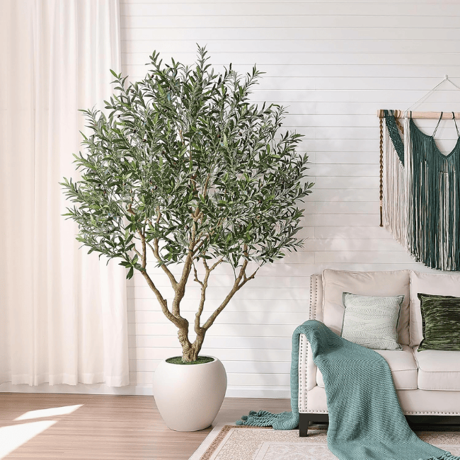 Artificial Olive Tree Indoor, 8FT Tall Faux Olive Tree with 18” White Planter, Natural Wood Trunk & Lifelike Olive Fruits