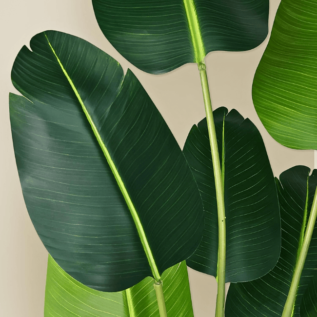 Artificial Bird of Paradise Plant 5.2Ft Fake Tropical Palm Tree
