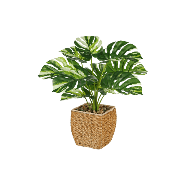 Variegated Monstera Artificial Plant in Woven Basket, Fake Potted Greenery for Indoor Home