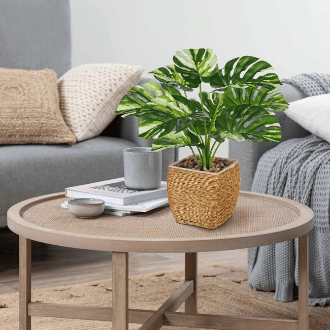 Variegated Monstera Artificial Plant in Woven Basket, Fake Potted Greenery for Indoor Home
