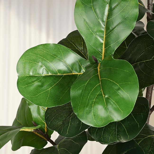 6FT Artificial Fiddle Leaf Fig Tree – Faux Ficus Lyrata in Pot for Indoor