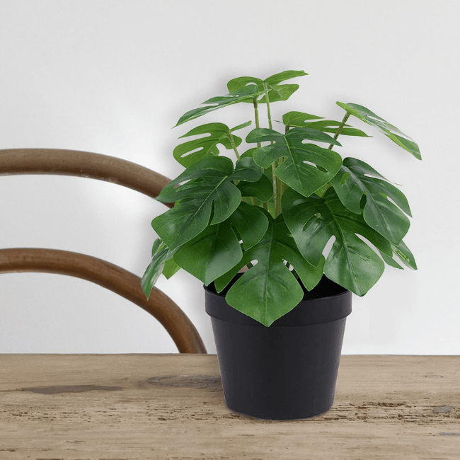 12" Mini Artificial Monstera Plant – Realistic Faux Potted Greenery in Modern Black Pot