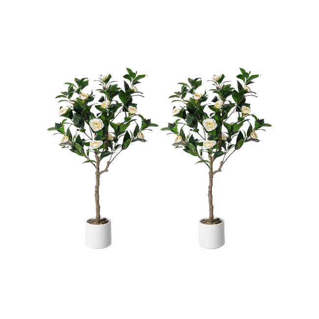 Artificial Camellia Flowering Tree (2-Pack) – Realistic Silk Blooms & Lush Greenery