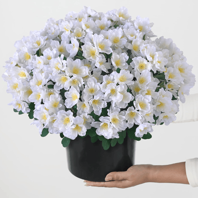 16" Artificial Camellia Topiary Ball Trees (2-Pack) – UV-Resistant Silk Blooms