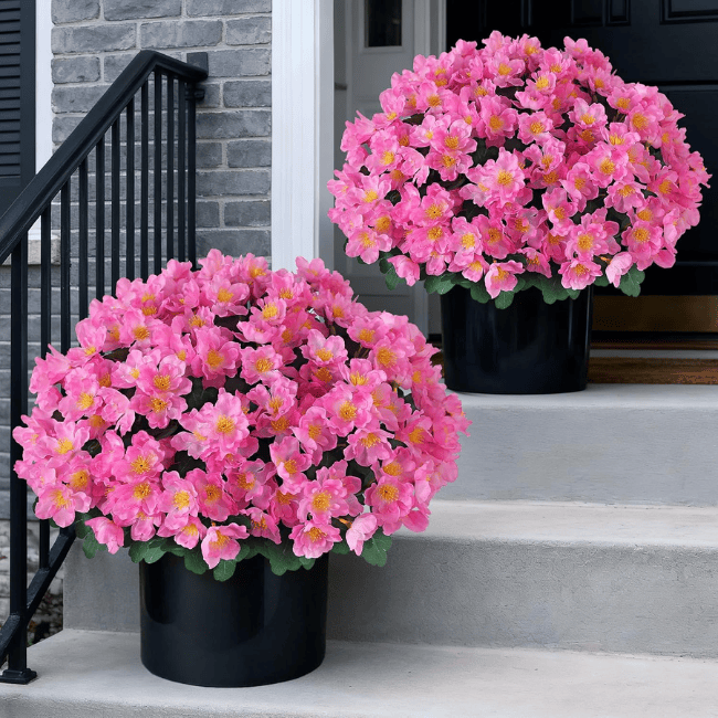 16" Artificial Camellia Topiary Ball Trees (2-Pack) – UV-Resistant Silk Blooms