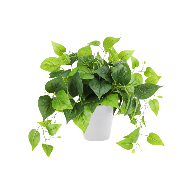Artificial Potted Pothos – Realistic Green Foliage with Minimalist White Planter