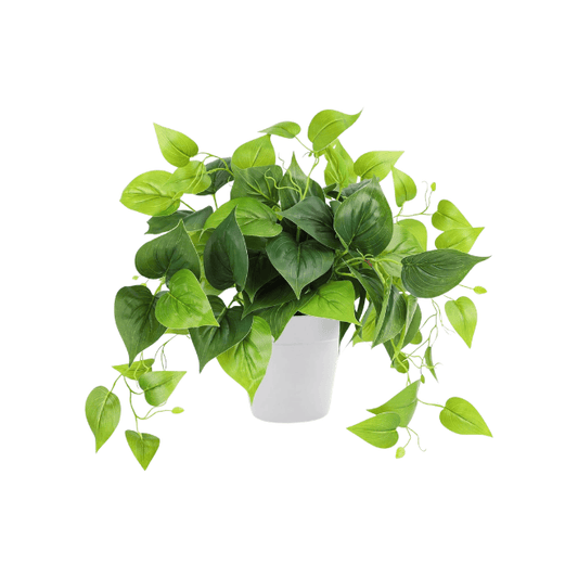 Artificial Potted Pothos – Realistic Green Foliage with Minimalist White Planter