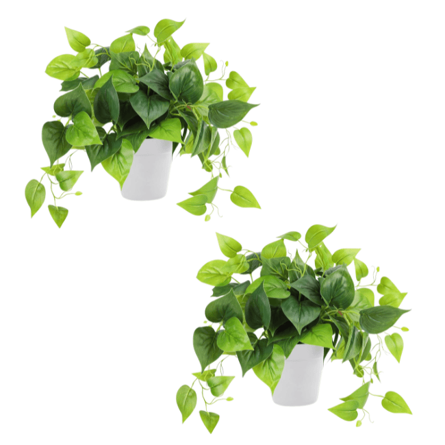 Artificial Potted Pothos – Realistic Green Foliage with Minimalist White Planter