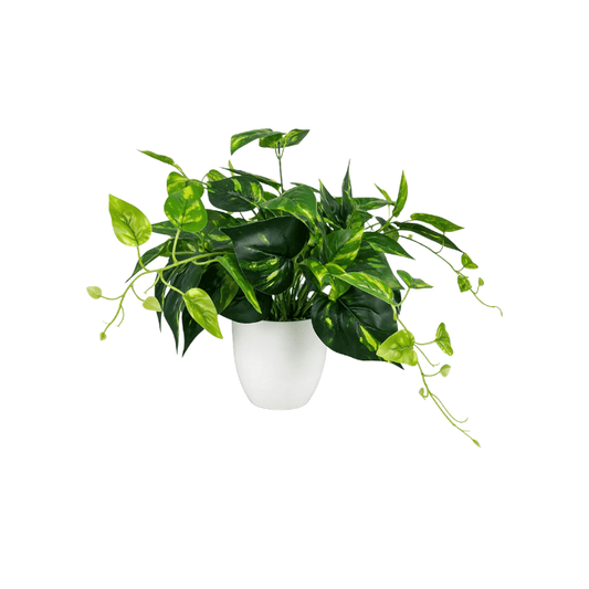 Realistic Faux Potted Pothos – 24-Inch Trailing Greenery