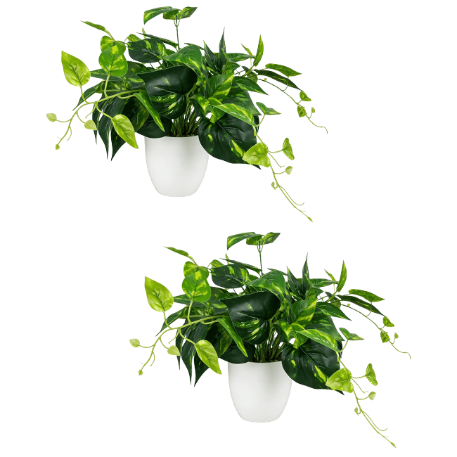 Realistic Faux Potted Pothos – 24-Inch Trailing Greenery