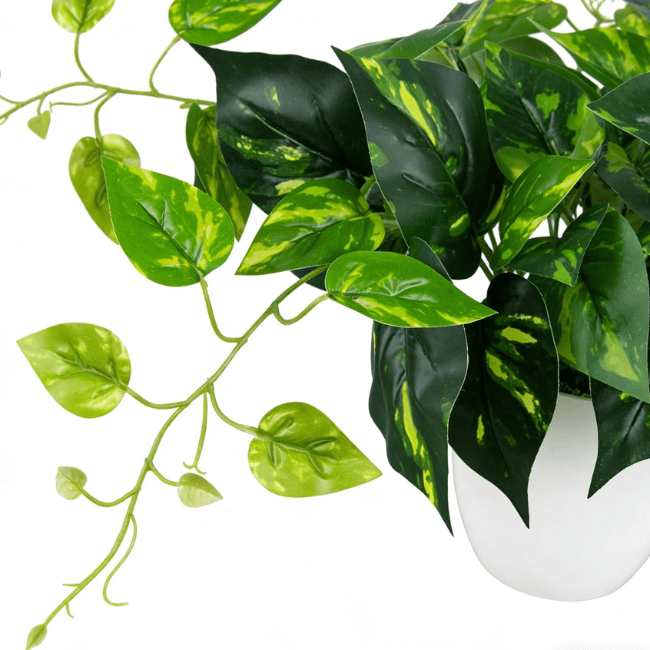Realistic Faux Potted Pothos – 24-Inch Trailing Greenery