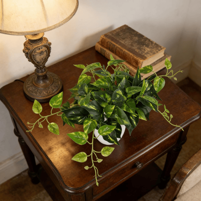 Realistic Faux Potted Pothos – 24-Inch Trailing Greenery