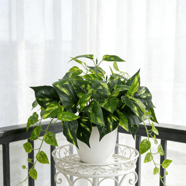 Realistic Faux Potted Pothos – 24-Inch Trailing Greenery