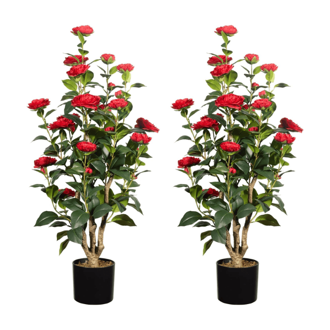 2-Pack 3FT Artificial Camellia Trees – Realistic Faux Camellia Plants