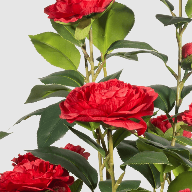 2-Pack 3FT Artificial Camellia Trees – Realistic Faux Camellia Plants