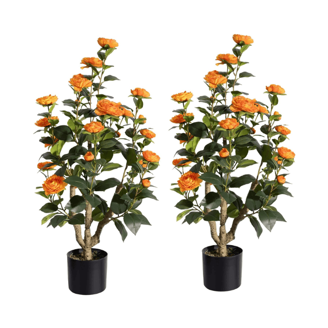 2-Pack 3FT Artificial Camellia Trees – Realistic Faux Camellia Plants