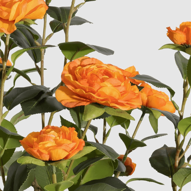 2-Pack 3FT Artificial Camellia Trees – Realistic Faux Camellia Plants
