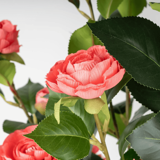 2-Pack 3FT Artificial Camellia Trees – Realistic Faux Camellia Plants
