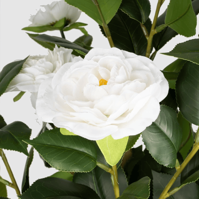2-Pack 3FT Artificial Camellia Trees – Realistic Faux Camellia Plants