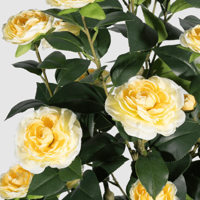 2-Pack 3FT Artificial Camellia Trees – Realistic Faux Camellia Plants